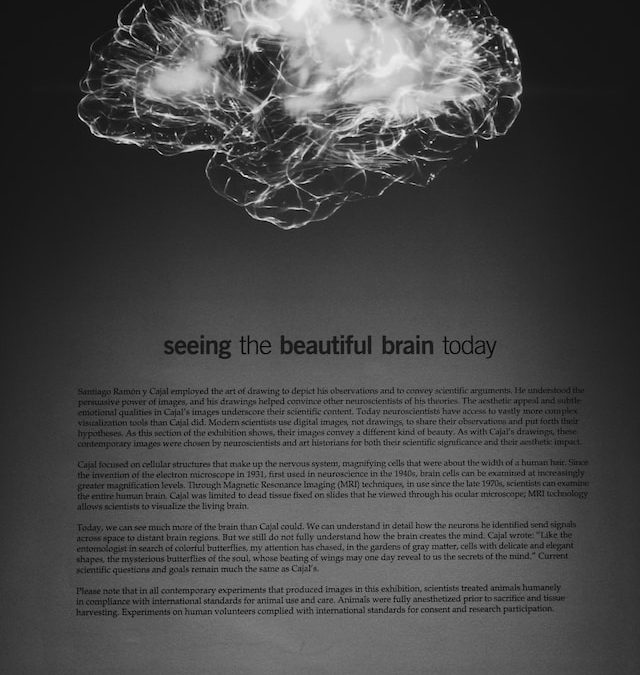 Les secrets cachés de notre cerveau : passer du pilotage automatique au vrai libre-arbitre