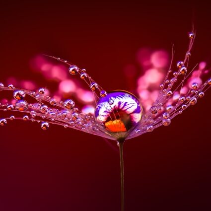 Précision des perceptions subtiles